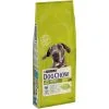 Purina Dog Chow Chien Adulte Grande Race Dinde 14 Kg 1 Purina Dog Chow Chien Adulte Grande Race Dinde 14 Kg -nourriture pour chien Ventes 2023 07613034487926 c1l1 dog chow adult large breed turkey 14kg 43841207
