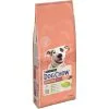 Purina Dog Chow Chien Sensitive Saumon 14 Kg 2 Purina Dog Chow Chien Sensitive Saumon 14 Kg -nourriture pour chien Ventes 2023 07613034488244 c1l1 dog chow adult sensitive salmon 14kg 43841552