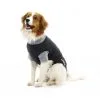 Buster Body Suit Chien L -nourriture pour chien Ventes 2023 1 8 1 1 1 1 1