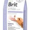 Brit Veterinary Grain Free Brit Vet Diet Dog Gastrointestinal Grain Free 2 Kg -nourriture pour chien Ventes 2023 3d 18427 brit vd dog gastrointestinal 2 kg