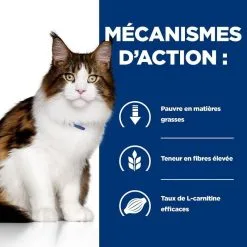 Hill's Prescription Diet Hill's Prescription Diet Feline W/D Benefit 3 Kg 10 Hill's Prescription Diet Hill's Prescription Diet Feline W/D Benefit 3 Kg -nourriture pour chien Ventes 2023 52742042251 5 prescription diet chat w d croquettes poulet.jpg 1 1