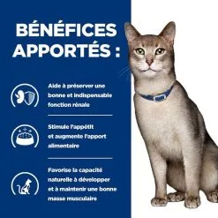 Hill's Prescription Diet Hill's Prescription Diet Feline K/D Boeuf SACHETS 12 X 85 Grs -nourriture pour chien Ventes 2023 52742043654 4 prescription diet chat k d croquettes thon 4
