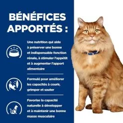 Hill's Prescription Diet Hill's Prescription Diet Feline K/D + Mobility 1.5 Kg -nourriture pour chien Ventes 2023 52742044767 4 prescription diet chat k d mobility croquettes poulet 2 1