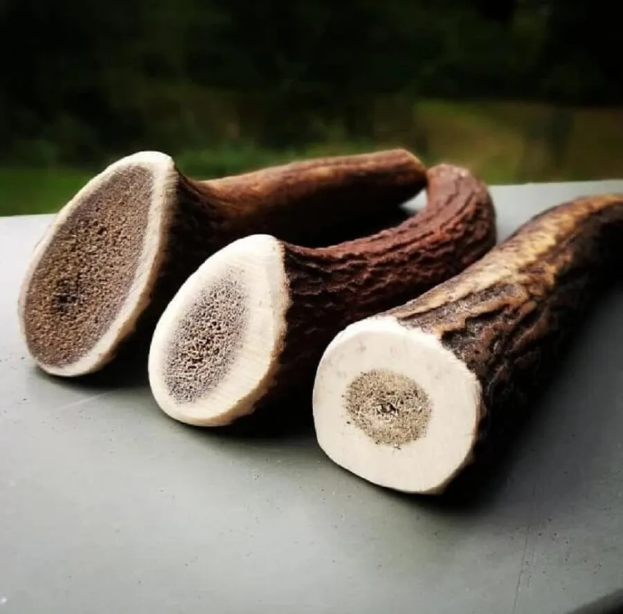 Evident Bois De Cerf Entier M 5 Evident Bois De Cerf Entier M – Image 3