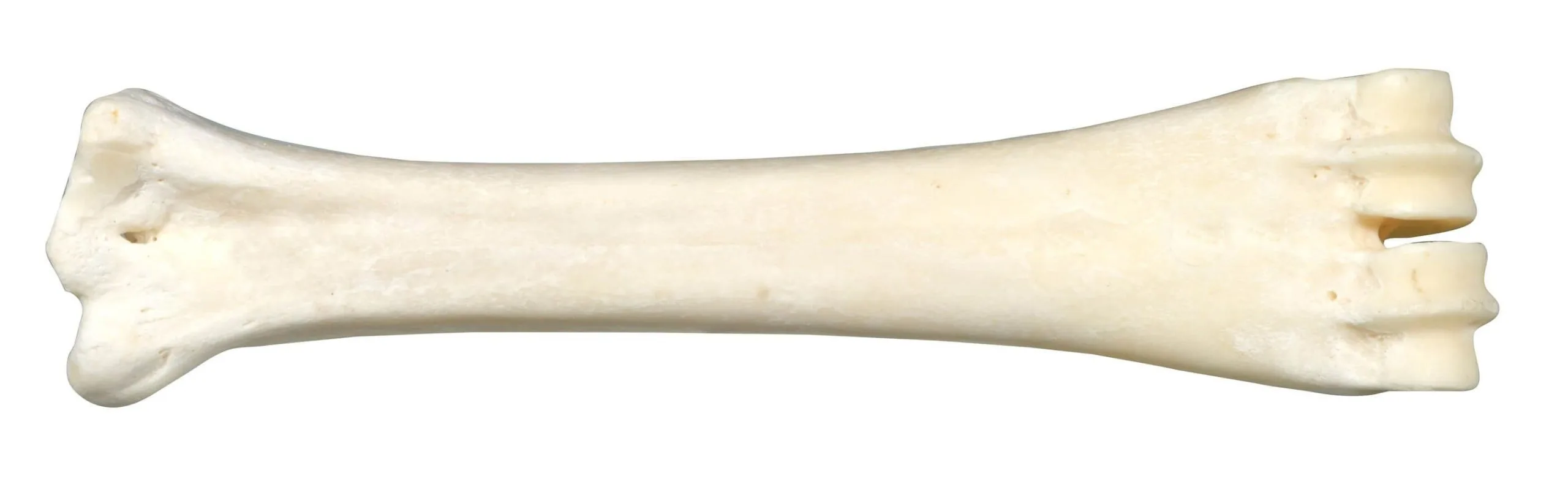 Bubimex Os Au Calcium 160 G 3 Bubimex Os Au Calcium 160 G