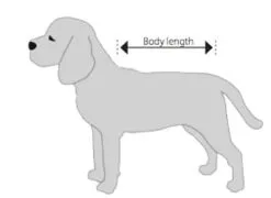 Buster Body Suit Chien L 7 Buster Body Suit Chien L -nourriture pour chien Ventes 2023 chien 1 2 1 1 1 1 1