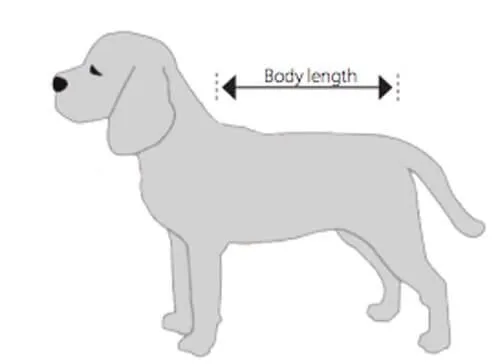 Buster Body Suit Chien L 5 Buster Body Suit Chien L – Image 3