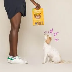 Edgard & Cooper Dinde & Poulet Frais Bio Chien Adulte 7 Kg -nourriture pour chien Ventes 2023 chien croquette adulte biologique dinde poulet 2