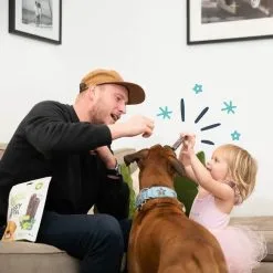 Edgard & Cooper Mach'sticks Pomme Et Eucalyptus Grand Chien 240 G -nourriture pour chien Ventes 2023 chien dental adulte naturel eucalyptus pomme 240g 3