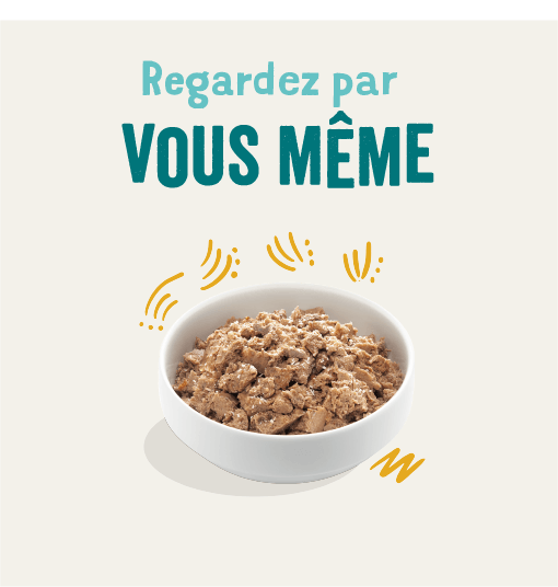 Edgard & Cooper Multipack Poulet Et Agneau Et Gibier Chien Adulte 6 X 100 G 4 Edgard & Cooper Multipack Poulet Et Agneau Et Gibier Chien Adulte 6 X 100 G – Image 2