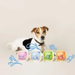 Edgard & Cooper Multipack Poulet Et Agneau Et Gibier Chien Adulte 6 X 100 G 10 Edgard & Cooper Multipack Poulet Et Agneau Et Gibier Chien Adulte 6 X 100 G -nourriture pour chien Ventes 2023 chien multipack adulte naturel poulet agneau gibier 150gx6 3