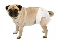 Couche-culotte Camon Chien S X12 -nourriture pour chien Ventes 2023 couche xs