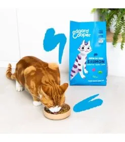 Edgard & Cooper Saumon Chat 2 Kg 6 Edgard & Cooper Saumon Chat 2 Kg -nourriture pour chien Ventes 2023 edgard cooper saumon chat 2 kg 2