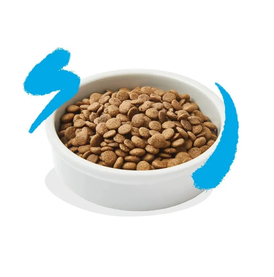 Edgard & Cooper Saumon Chat 2 Kg 5 Edgard & Cooper Saumon Chat 2 Kg – Image 3