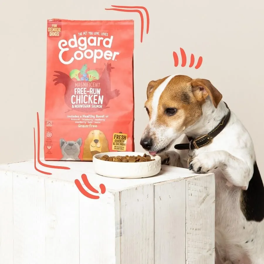 Edgard & Cooper Poulet Frais & Saumon Sans Céréales Chien Senior 700 G – Image 4