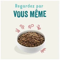 Edgard & Cooper Poulet Frais & Saumon Sans Céréales Chien Senior 700 G -nourriture pour chien Ventes 2023 edgard cooper croquettes bio au boeuf poulet frais chien adulte 1