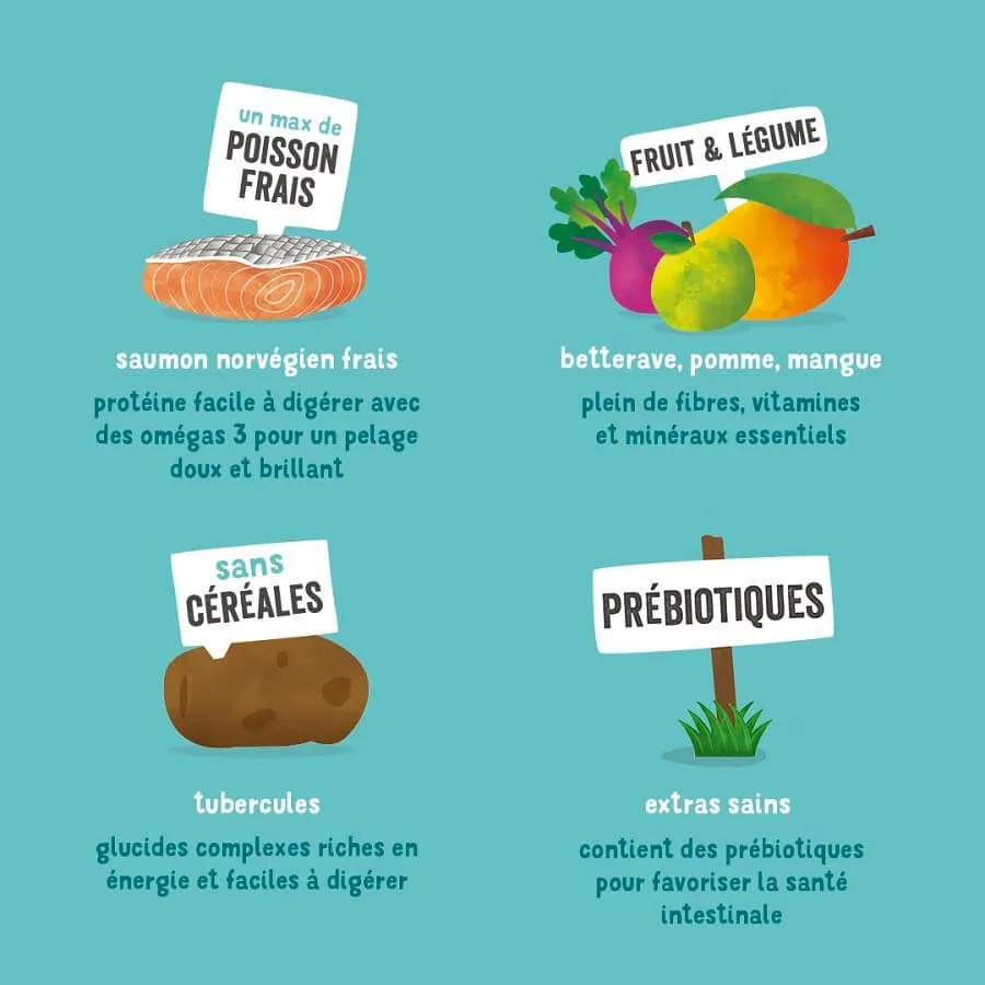 Edgard & Cooper Saumon Frais Chien Adulte 2,5 Kg – Image 7