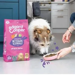 Edgard & Cooper Croustillantes Betterave & Citrouille Chien 7 Kg -nourriture pour chien Ventes 2023 edgard cooper croustillantes betterave citrouille 2 1 1