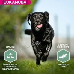 Eukanuba Daily Care Eukanuba Chien Daily Care Sensitive Joints 12 Kg -nourriture pour chien Ventes 2023 eukanuba chien daily care sensitive joints 12 kg3