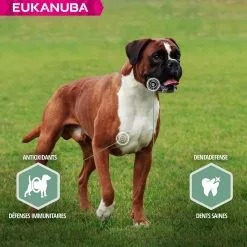 Eukanuba Daily Care Eukanuba Chien Daily Care Sensitive Joints 12 Kg -nourriture pour chien Ventes 2023 eukanuba chien daily care sensitive joints 12 kg5