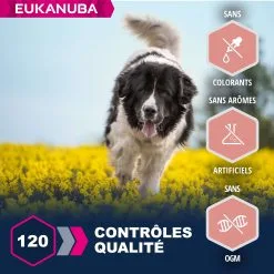 Eukanuba Chien Senior Grande Race Agneau & Riz 12 Kg -nourriture pour chien Ventes 2023 eukanuba chien senior grande race agneau et riz4 1