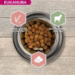 Eukanuba Senior Petite Et Moyenne Race Agneau & Riz 12 Kg -nourriture pour chien Ventes 2023 eukanuba chien senior grande race agneau riz 3 1