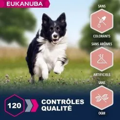 Eukanuba Senior Petite Et Moyenne Race Agneau & Riz 12 Kg -nourriture pour chien Ventes 2023 eukanuba chien senior grande race agneau riz 4 1