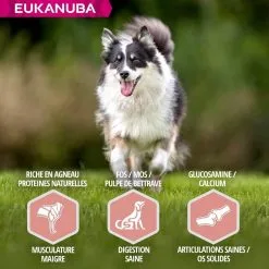 Eukanuba Senior Petite Et Moyenne Race Agneau & Riz 12 Kg -nourriture pour chien Ventes 2023 eukanuba chien senior grande race agneau riz 5 1
