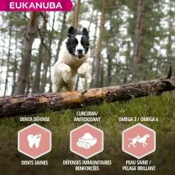 Eukanuba Senior Petite Et Moyenne Race Agneau & Riz 12 Kg -nourriture pour chien Ventes 2023 eukanuba chien senior grande race agneau riz 6 1