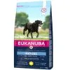 Eukanuba Chien Thriving Mature Grande Race 3 Kg - Destockage -nourriture pour chien Ventes 2023 eukanuba chien thriving mature grande race 15 kg 3