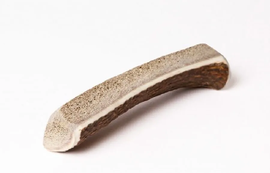 Evident Bois De Cerf Chiot S 3 Evident Bois De Cerf Chiot S