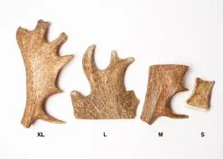 Evident Bois De Daim L -nourriture pour chien Ventes 2023 evident bois de daim l2