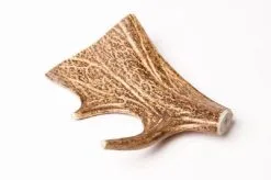 Evident Bois De Daim M