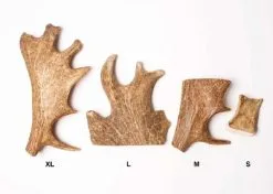 Evident Bois De Daim XL -nourriture pour chien Ventes 2023 evident bois de daim xl2