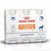 Royal Canin Veterinary Diet Royal Canin Vet Diet Chien Gastrointestinal Low Fat Liquid 3 X 200 Ml -nourriture pour chien Ventes 2023 gilowfatiliquid
