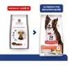 Hill's Vetessentials Hill's Science Plan VetEssentials Canine Healthy Digestive Biome Medium 10 Kg -nourriture pour chien Ventes 2023 hill s science plan vetessentials canine healthy digestive biome medium 10 kg 2