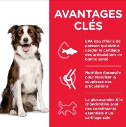 Hill's Science Plan Hill's Science Plan Canine Adult Healthy Mobility Medium Poulet 14 Kg -nourriture pour chien Ventes 2023 hill s science plan canine adult healthy mobility medium poulet 14 kg3