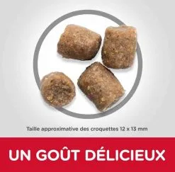 Hill's Science Plan Hill's Science Plan Canine Adult Healthy Mobility Medium Poulet 14 Kg -nourriture pour chien Ventes 2023 hill s science plan canine adult healthy mobility medium poulet 14 kg4