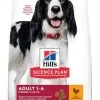 Hill's Science Plan Hill's Science Plan Canine Adult Medium Poulet 14 Kg 1 Hill's Science Plan Hill's Science Plan Canine Adult Medium Poulet 14 Kg -nourriture pour chien Ventes 2023 hill s science plan canine adult medium poulet 14 kg