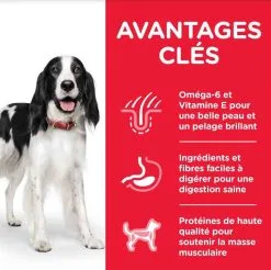 Hill's Science Plan Hill's Science Plan Canine Adult Medium Poulet 14 Kg -nourriture pour chien Ventes 2023 hill s science plan canine adult medium poulet 14 kg4