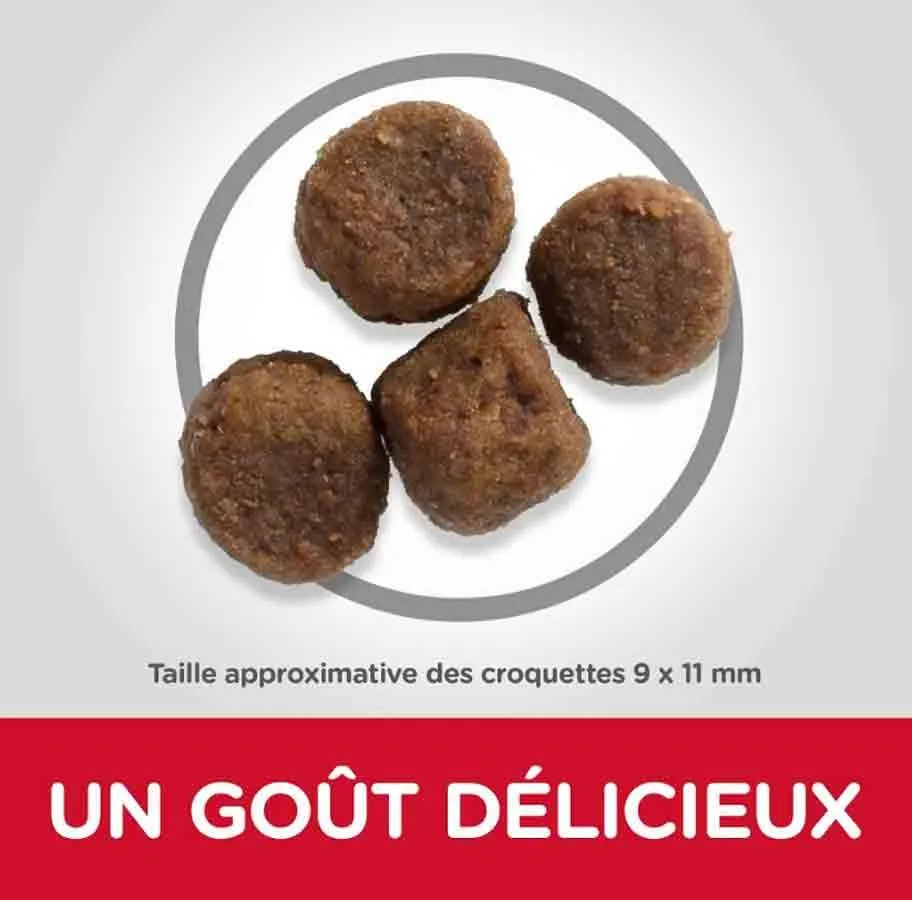 Hill's Science Plan Hill's Science Plan Canine Puppy Medium Agneau & Riz 18 Kg 5 Hill's Science Plan Hill's Science Plan Canine Puppy Medium Agneau & Riz 18 Kg – Image 3