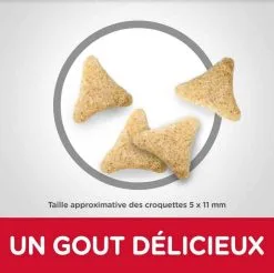 Hill's Science Plan Hill's Science Plan Feline Adult Hairball Indoor Poulet 1,5 Kg -nourriture pour chien Ventes 2023 hill s science plan feline adult hairball indoor poulet 1 5 kg3