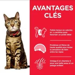 Hill's Science Plan Hill's Science Plan Feline Adult Light Poulet 10 Kg -nourriture pour chien Ventes 2023 hill s science plan feline adult light poulet 10 kg2