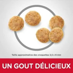 Hill's Science Plan Hill's Science Plan Feline Mature Adult 7+ Poulet 3 Kg -nourriture pour chien Ventes 2023 hill s science plan feline mature adult 7 poulet 3 kg3