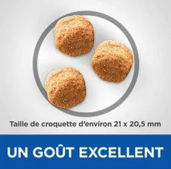 Hill's Vetessentials Hill's Science Plan VetEssentials Canine Adult Large Dental Health 13 Kg -nourriture pour chien Ventes 2023 hill s vetessentials canine adult large 13 kg2