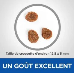 Hill's Vetessential No Grain Hill's Science Plan VetEssentials Canine Adult Medium No Grain Thon & Pommes De Terre 10 Kg 9 Hill's Vetessential No Grain Hill's Science Plan VetEssentials Canine Adult Medium No Grain Thon & Pommes De Terre 10 Kg -nourriture pour chien Ventes 2023 hill s vetessentials canine canine adult medium no grain thon pommes de terre2 1