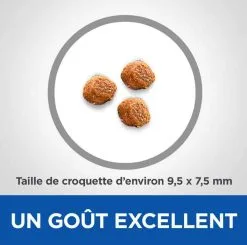 Hill's Vetessentials Hill's Science Plan VetEssentials Chiot Growth Medium Poulet 2 Kg -nourriture pour chien Ventes 2023 hill s vetessentials canine puppy2