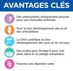 Hill's Vetessentials Hill's Science Plan VetEssentials Chiot Growth Medium Poulet 2 Kg -nourriture pour chien Ventes 2023 hill s vetessentials canine puppy3