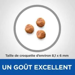Hill's Vetessentials Hill's Science Plan VetEssentials Puppy Growth Small & Mini Poulet 2 Kg 9 Hill's Vetessentials Hill's Science Plan VetEssentials Puppy Growth Small & Mini Poulet 2 Kg -nourriture pour chien Ventes 2023 hill s vetessentials puppy mini 2 kg2