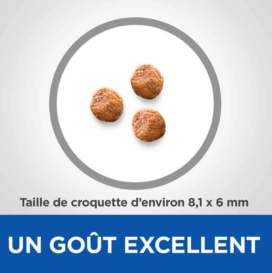 Hill's Vetessentials Hill's Science Plan VetEssentials Puppy Growth Small & Mini Poulet 7 Kg 5 Hill's Vetessentials Hill's Science Plan VetEssentials Puppy Growth Small & Mini Poulet 7 Kg – Image 3